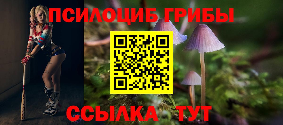 Галлюциногенные грибы ЛСД  Вход с VPN  Карачаевск  Галлюциногенные грибы Psilocybe 
